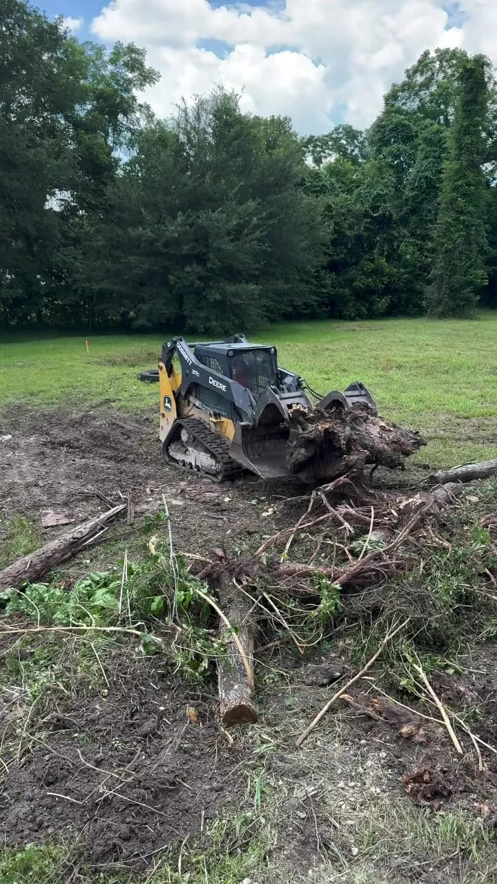 Track loader moving a root ball across a freshly cleared lot